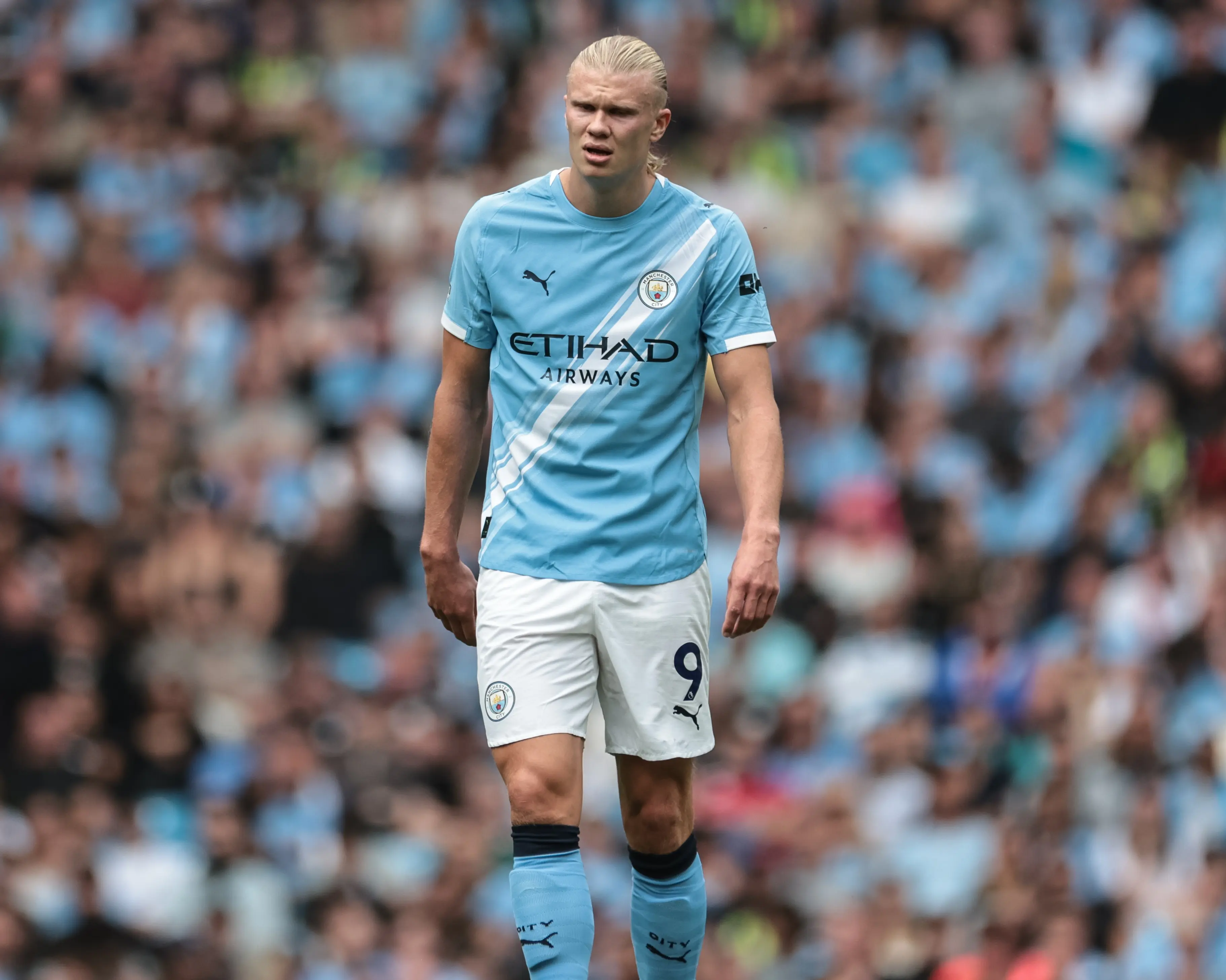 分钟绝平, 才拿到了 分钟绝平, 才拿到了